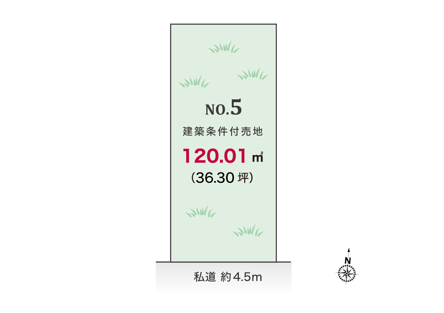 5号地