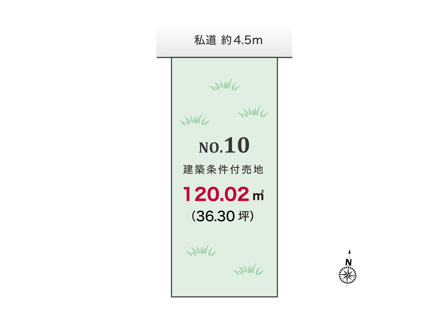 10号地